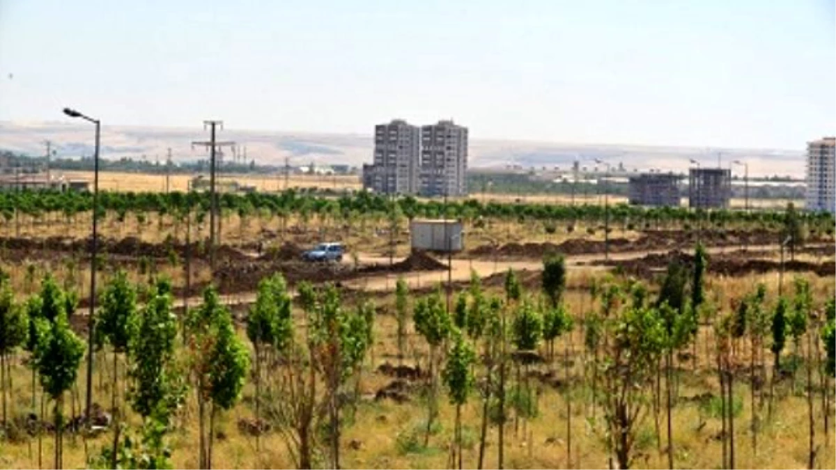 Kent Ormanı Yılsonunda Tamamlanacak