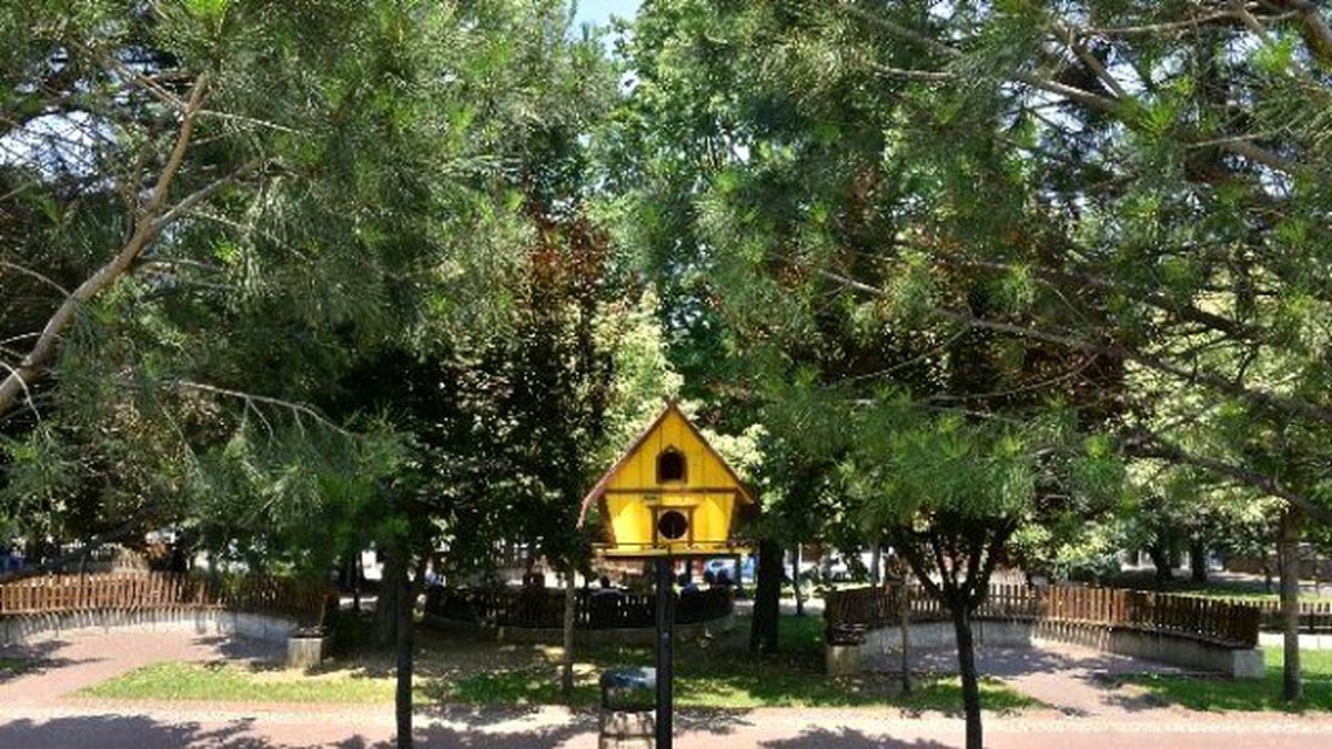 Yıldırım\'da Muhtelif Alanlara Kedi ve Kuş Evi