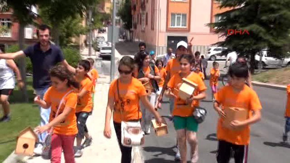 Eskişehir Gezi Olaylarında Ölenler İçin Parka Dikilen Çınar Ağaçlarına Kuş Yuvaları Konuldu