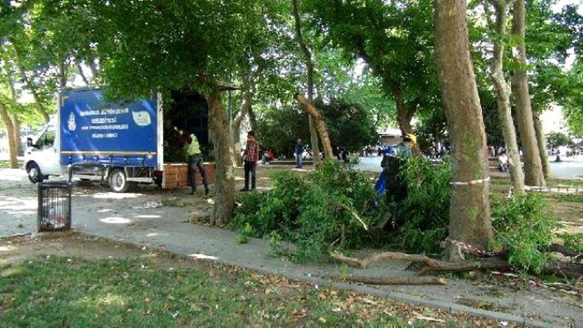 Gezi Parkı\'nda Devrilen Ağaç Kesildi