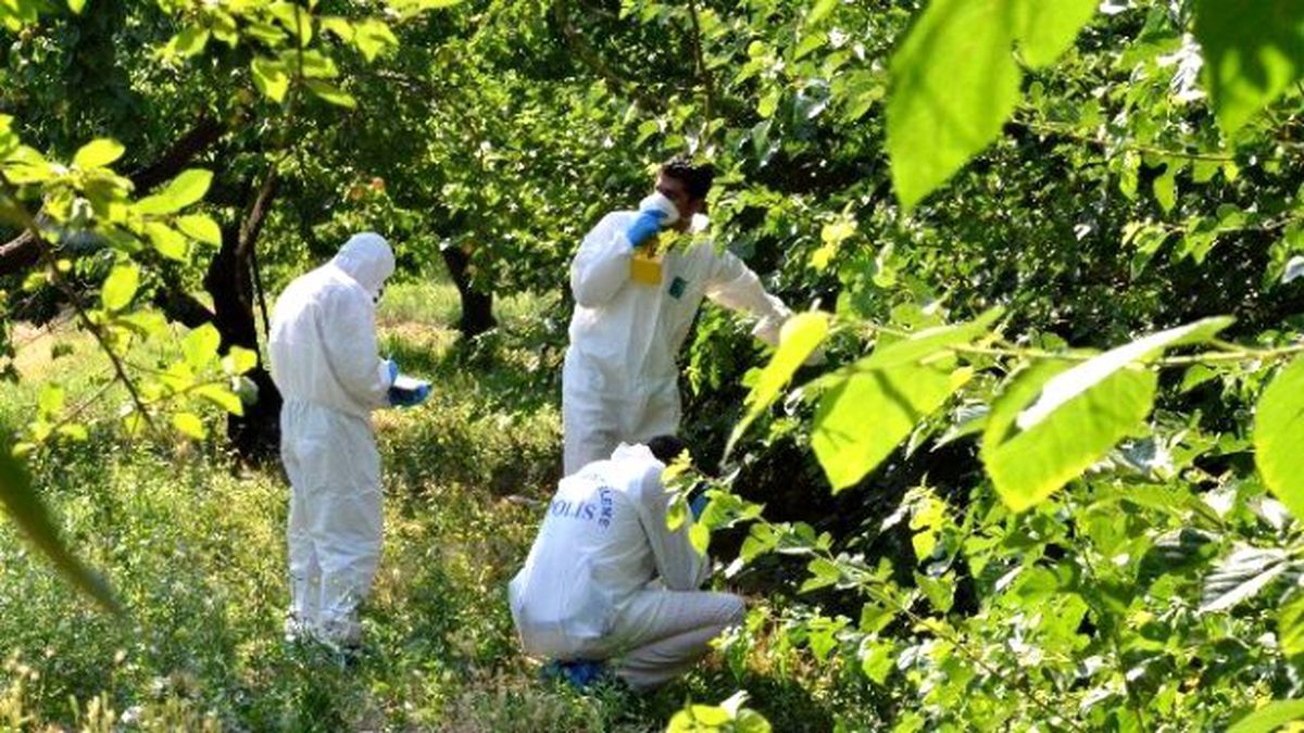 Kayısı Bahçesinde Bulunan Cesedin Kimliği Tespit Edildi