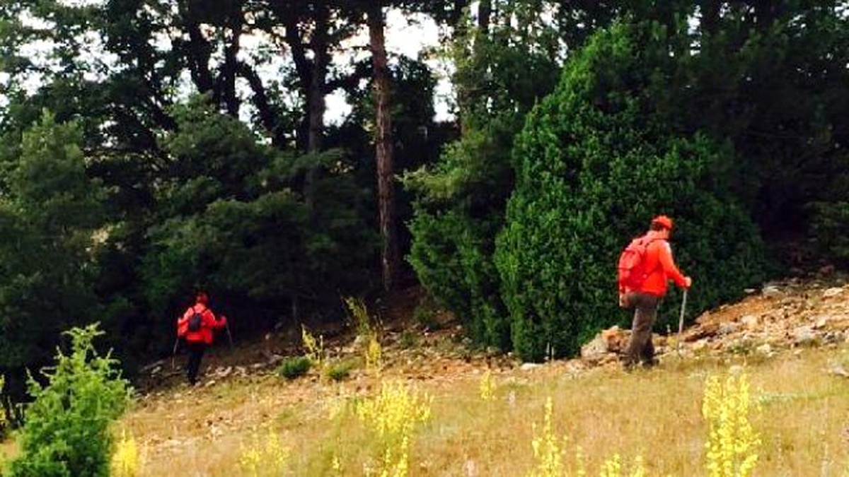 Arama Kurtarma Ekipleri 30 Yaşındaki Kayıp Kadını Arıyor