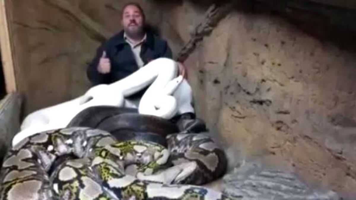 Yılanlarla Aynı Yuvaya Giren Adam Herkesi Hayrete Düşürüyor