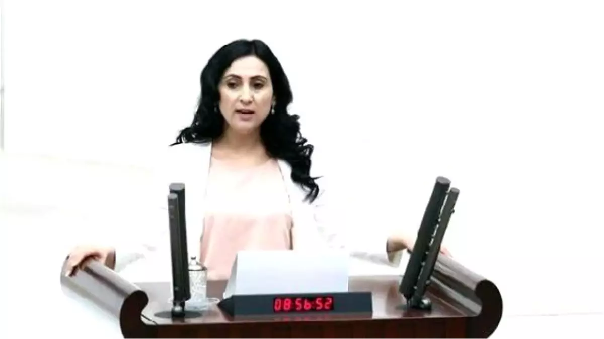 Hdp Open To Coalition With Unwilling Akp: Co-chair