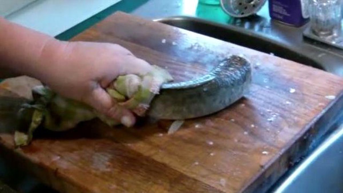 Kafası Kesilen Balık Canlandı