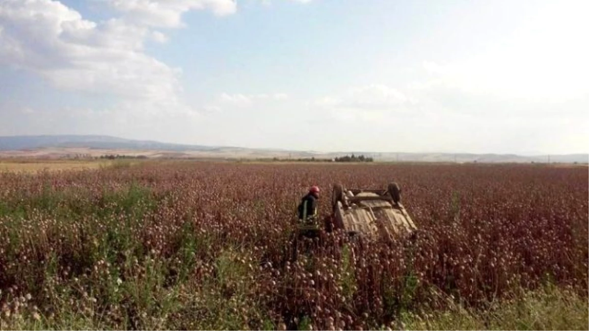 Otomobil Haşhaş Kapsülü Ekili Tarlaya Devrildi