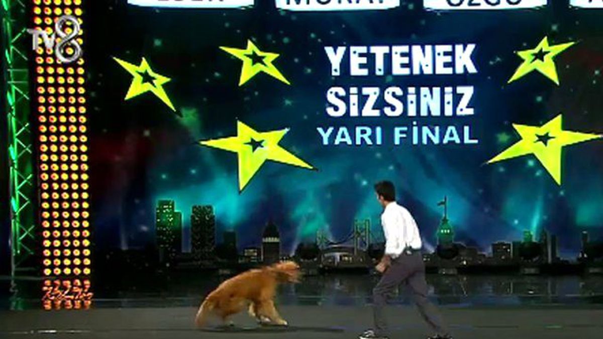 Tarçın ve Furkan Yarı Final Performansı!