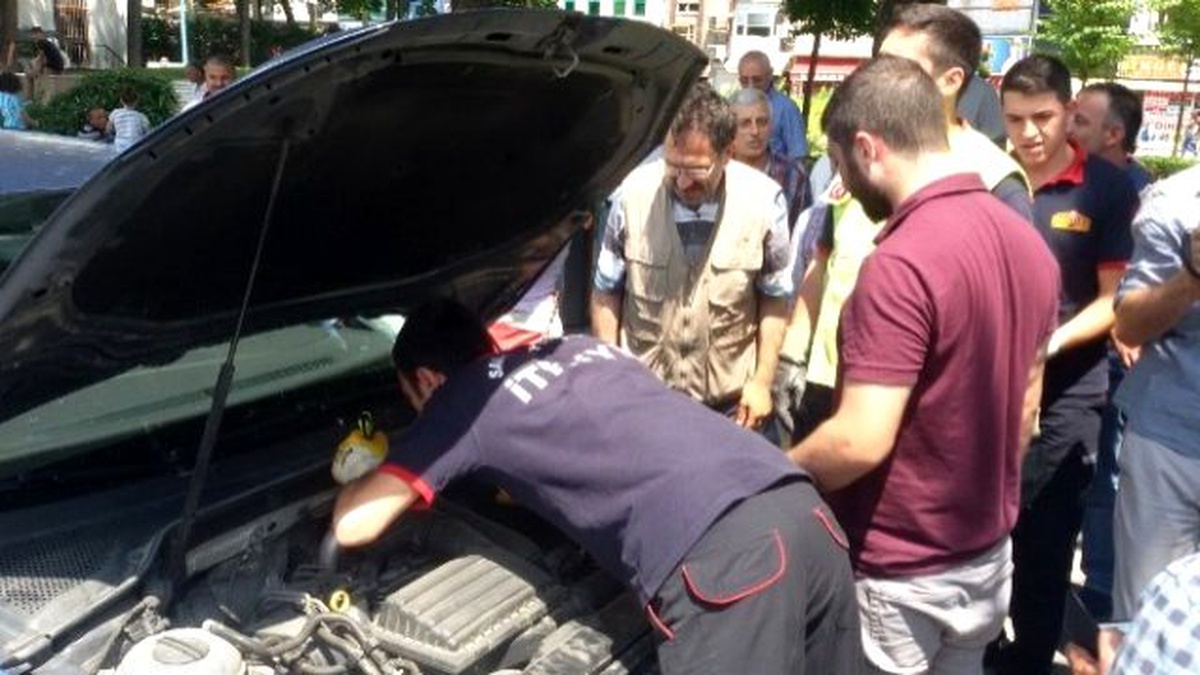 Trafik Işıklarında Kedi Kurtarma Operasyonu