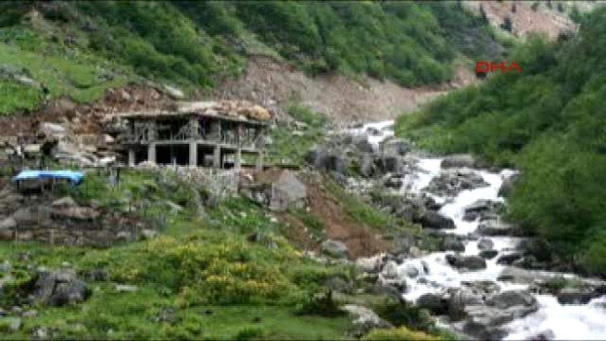 Yeşil Yolda Yüzlerce Ağaç Kesilmiş