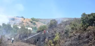 Gazipaşa'da Anız Yangını Korkuttu.