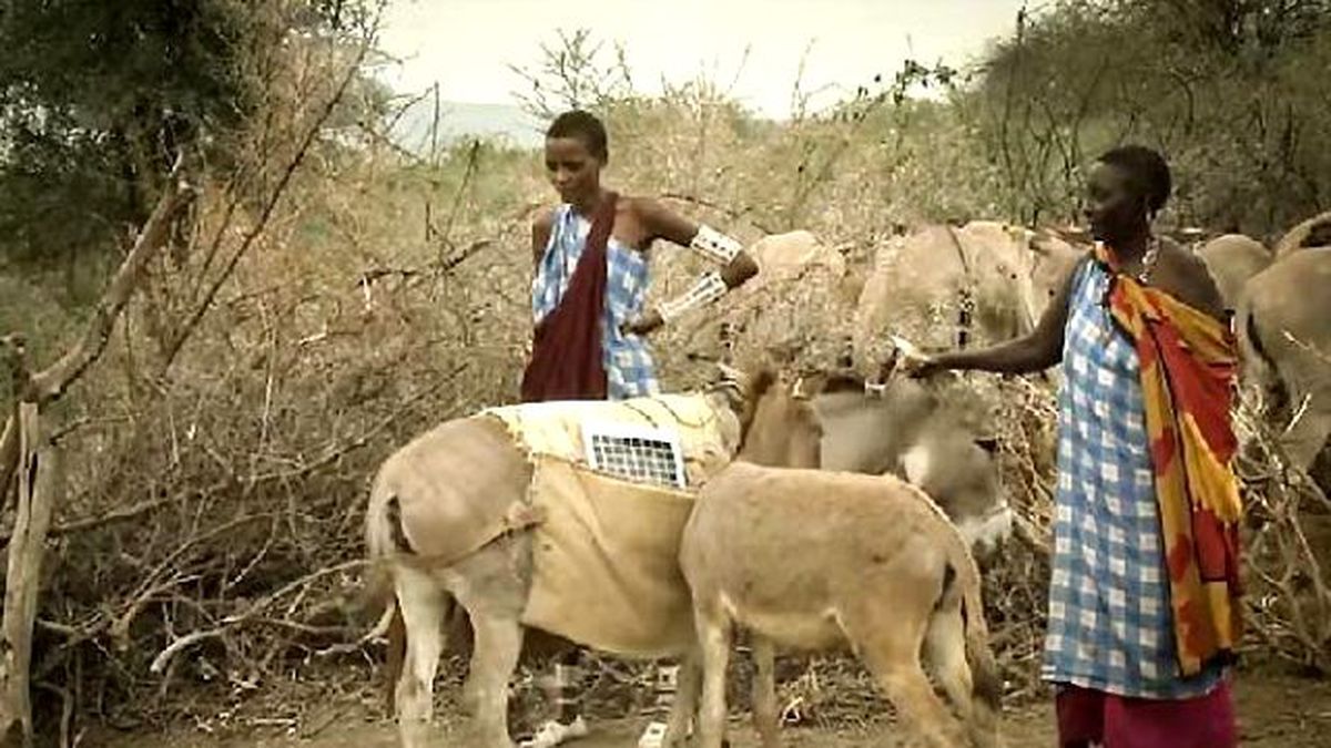200 Kadın, 2 Bin Haneli Kasabanın Elektrik İhtiyacını Sağlıyor