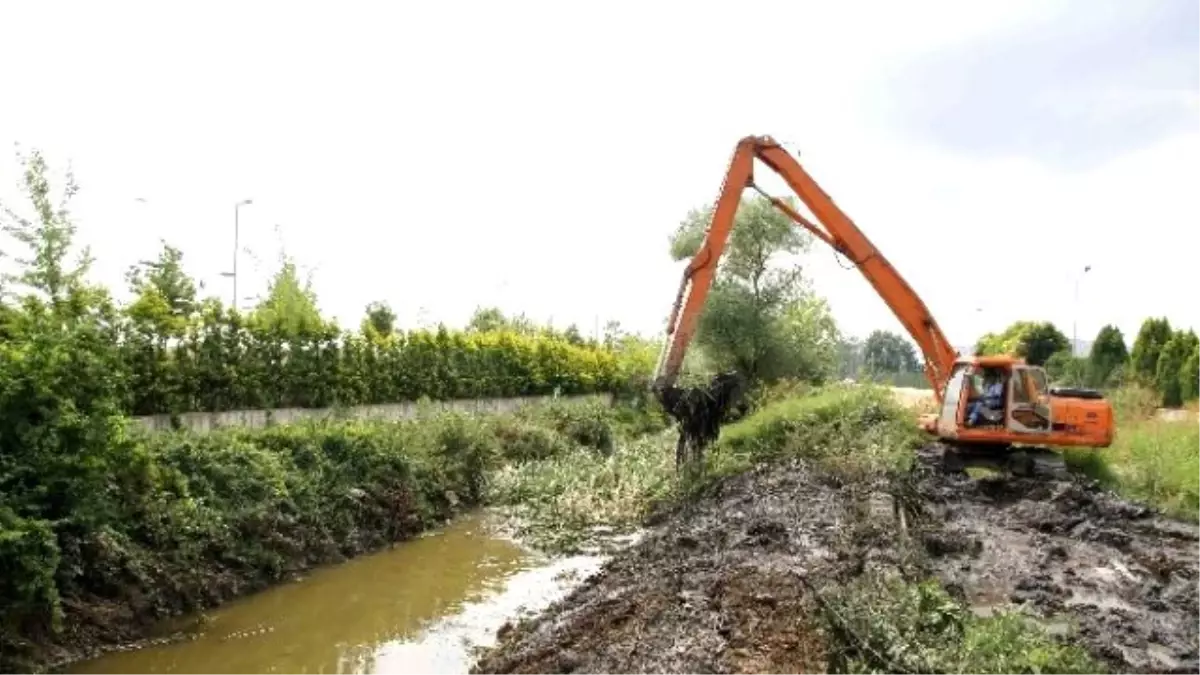 İzmit ve Kartepe Dereleri Temizleniyor