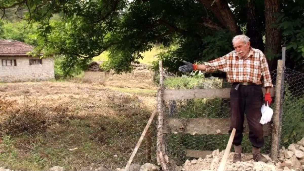 Mahallede Kışın 7, Yazın 20 Kişi Yaşıyor