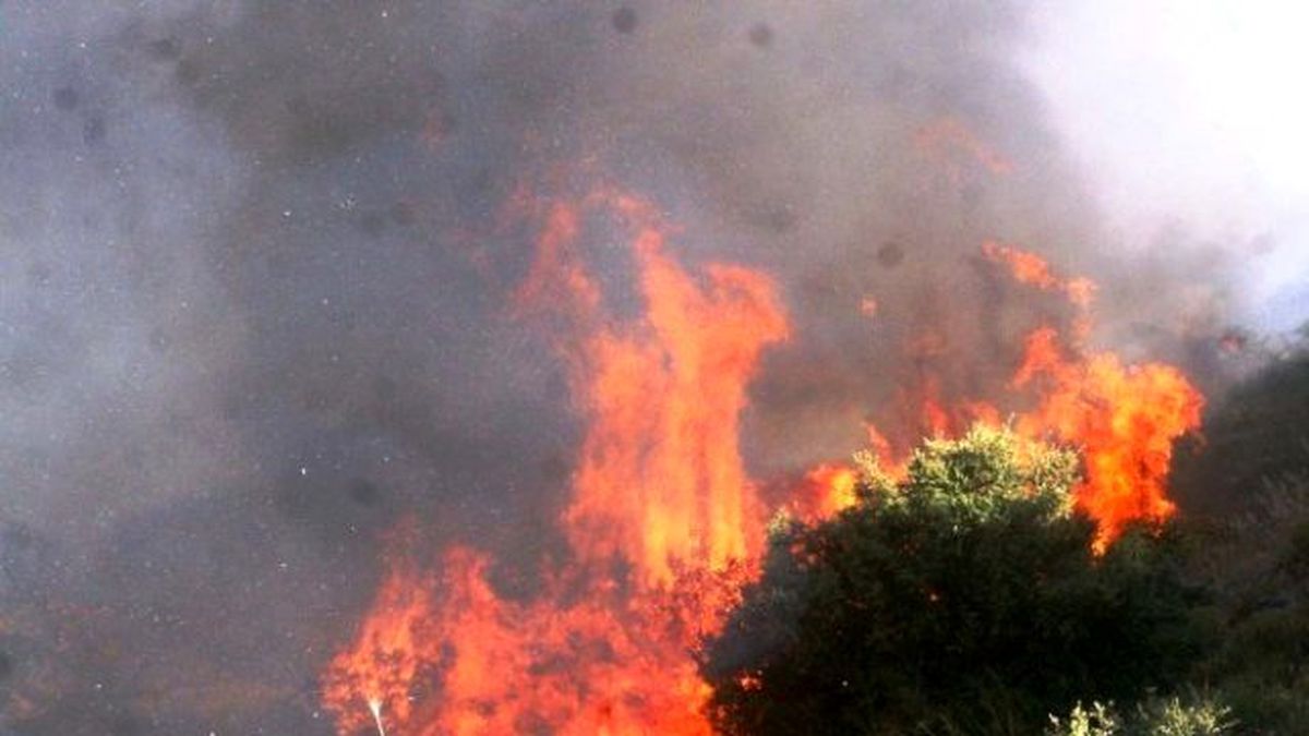 Muğla Orman Bölge Müdürü Kara\'dan Yangın Uyarısı