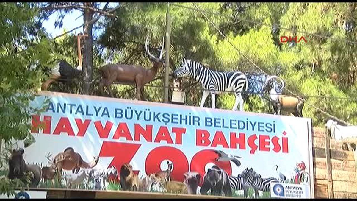 Antalya Sıcaktan Bunalan Hayvanlara Buzlu Meyve Servisi