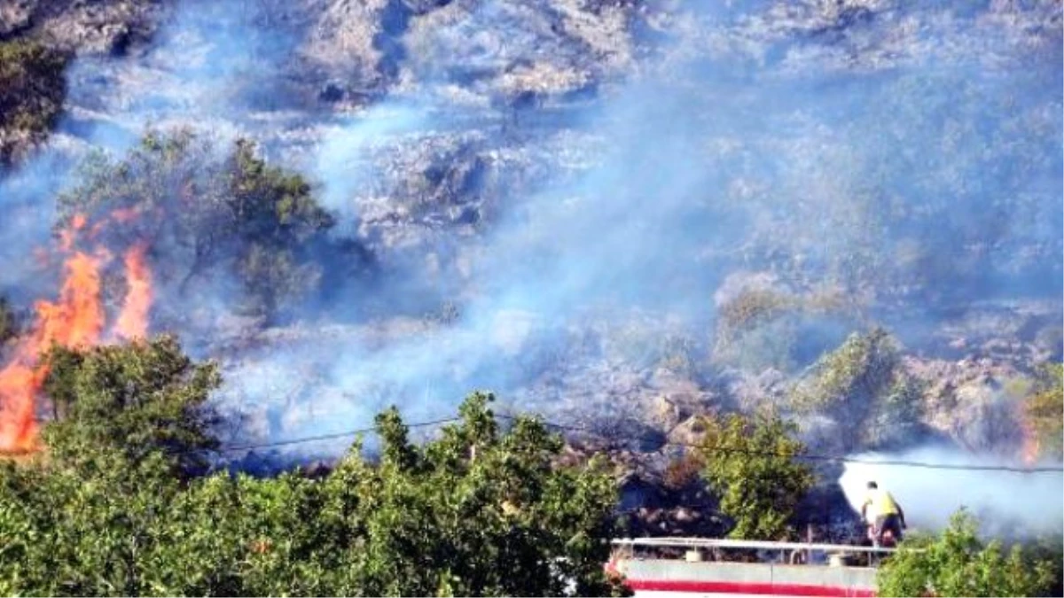 Atılan Sigara İzmariti 14 Hektar Alanı Küle Çevirdi