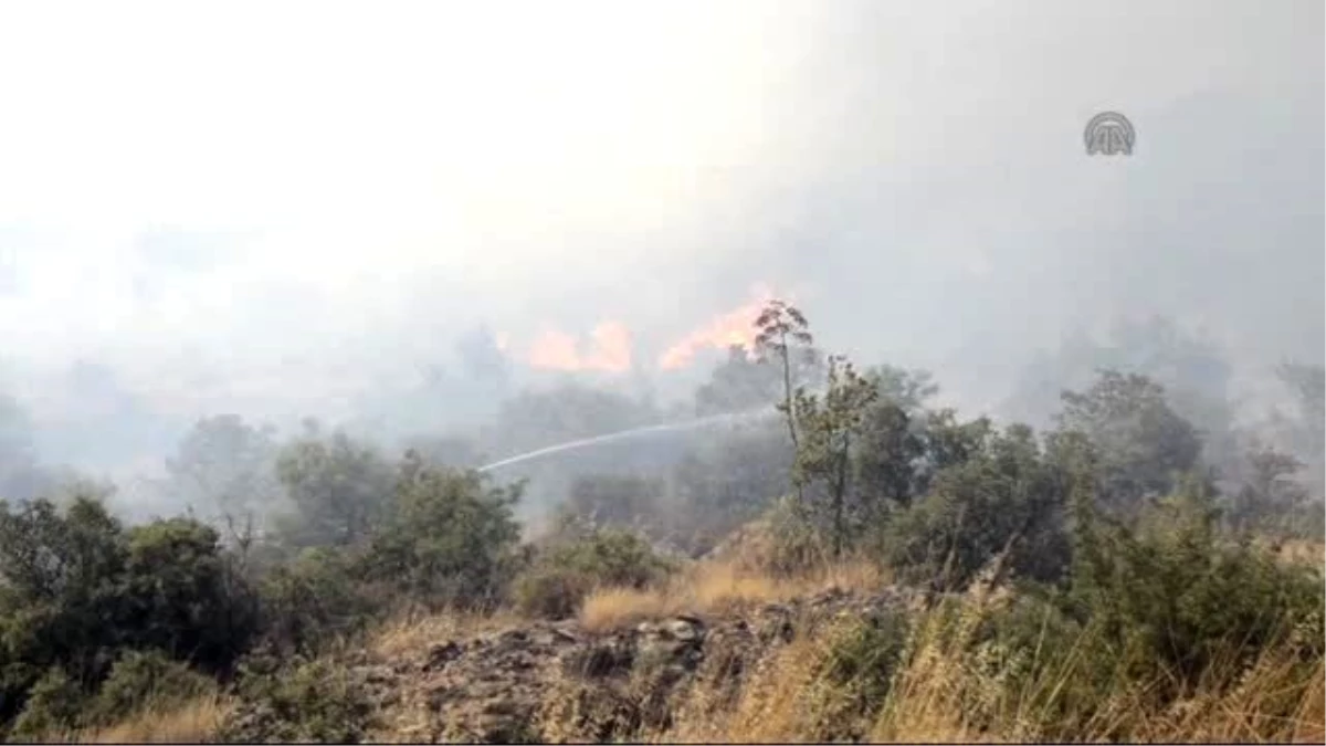 Bodrum\'da Makilik Alanda Çıkan Yangın Söndürüldü