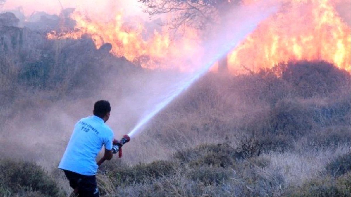 Bodrum\'da Makilik Alanda Yangın