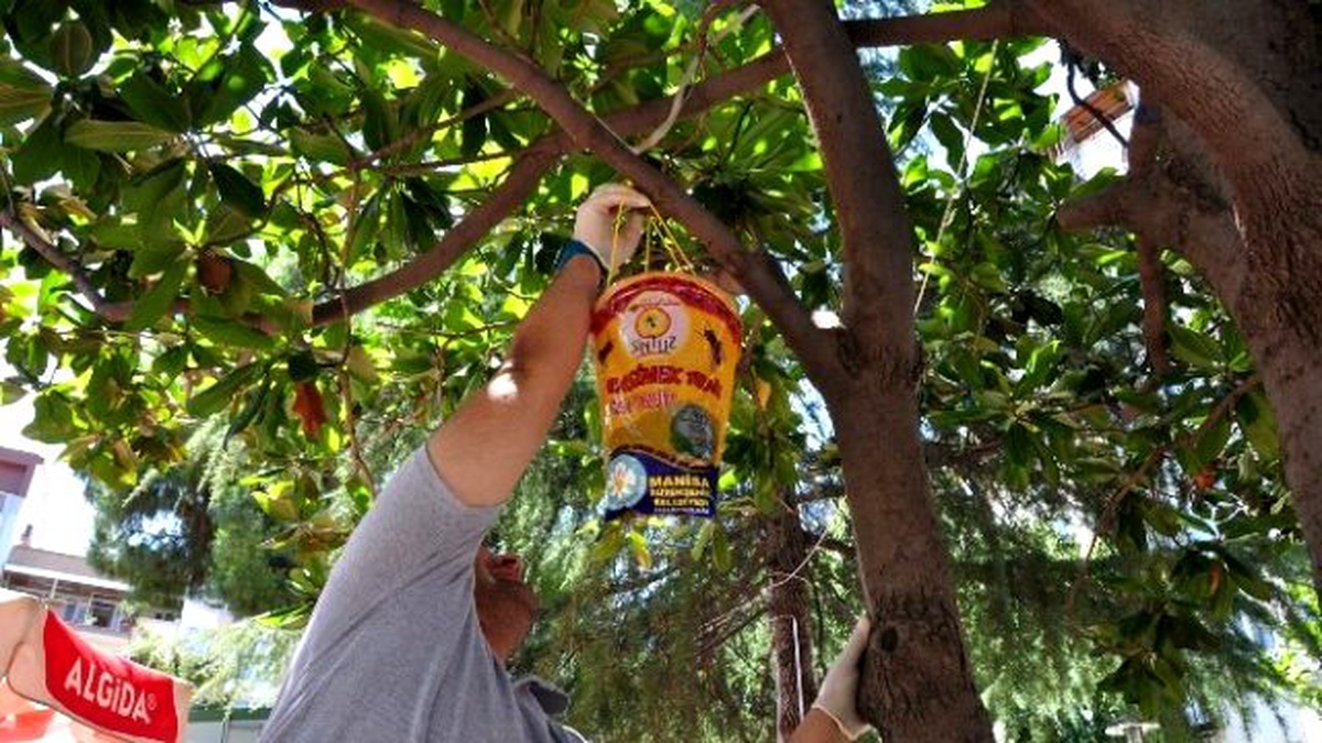Büyükşehir Belediyesinden Karasinekle Mücadele