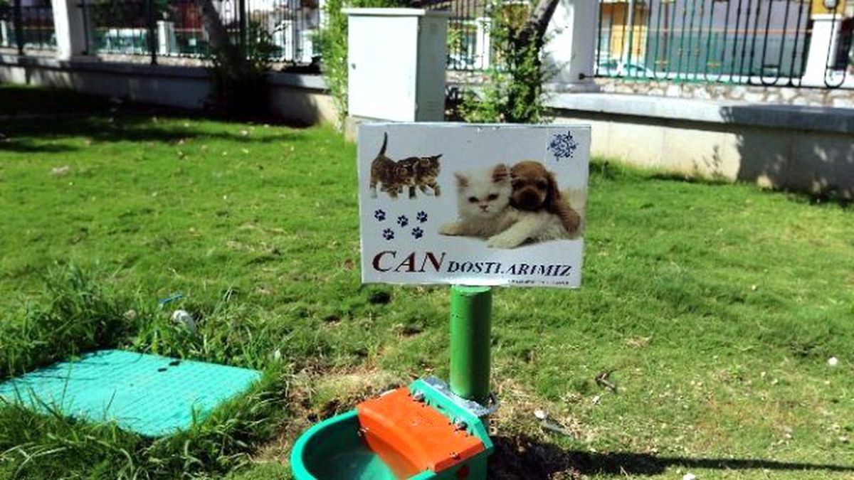 Büyükşehir Sokak Hayvanlarını Unutmadı