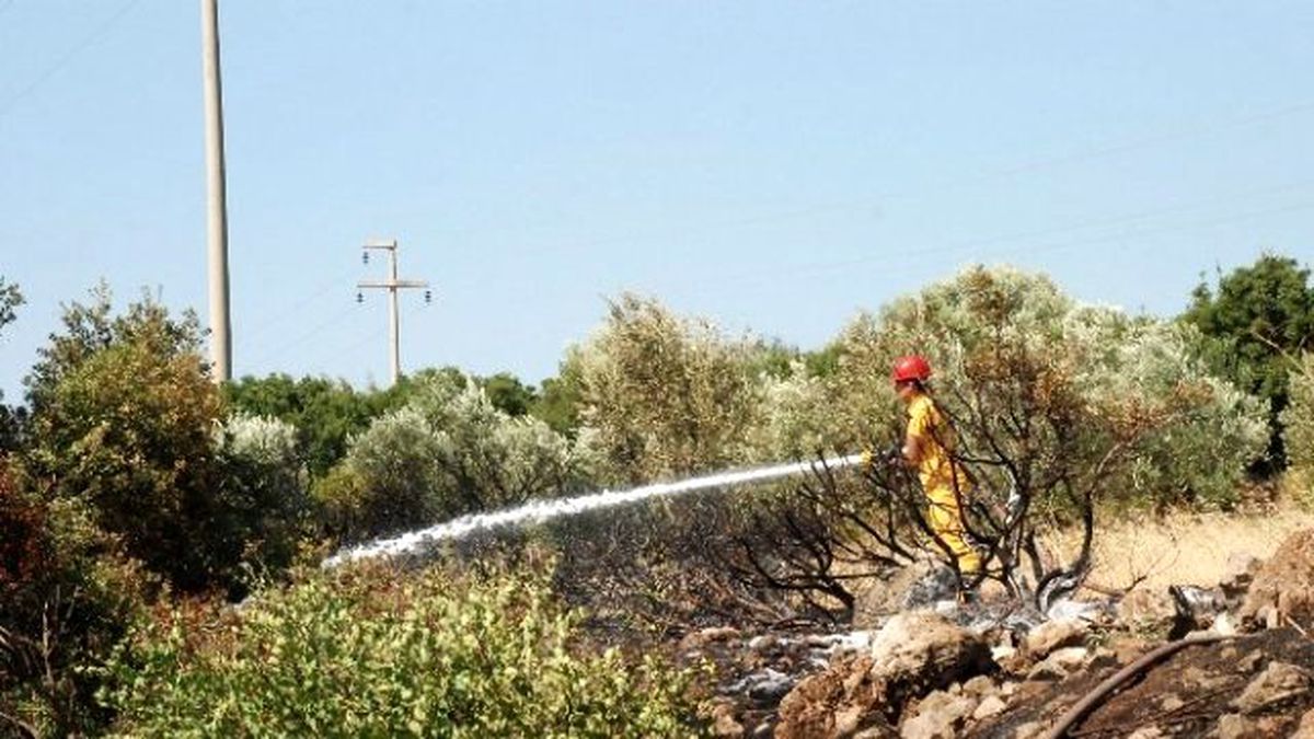 Didim\'de 40 Dekar Tarım Arazisi Zarar Gördü