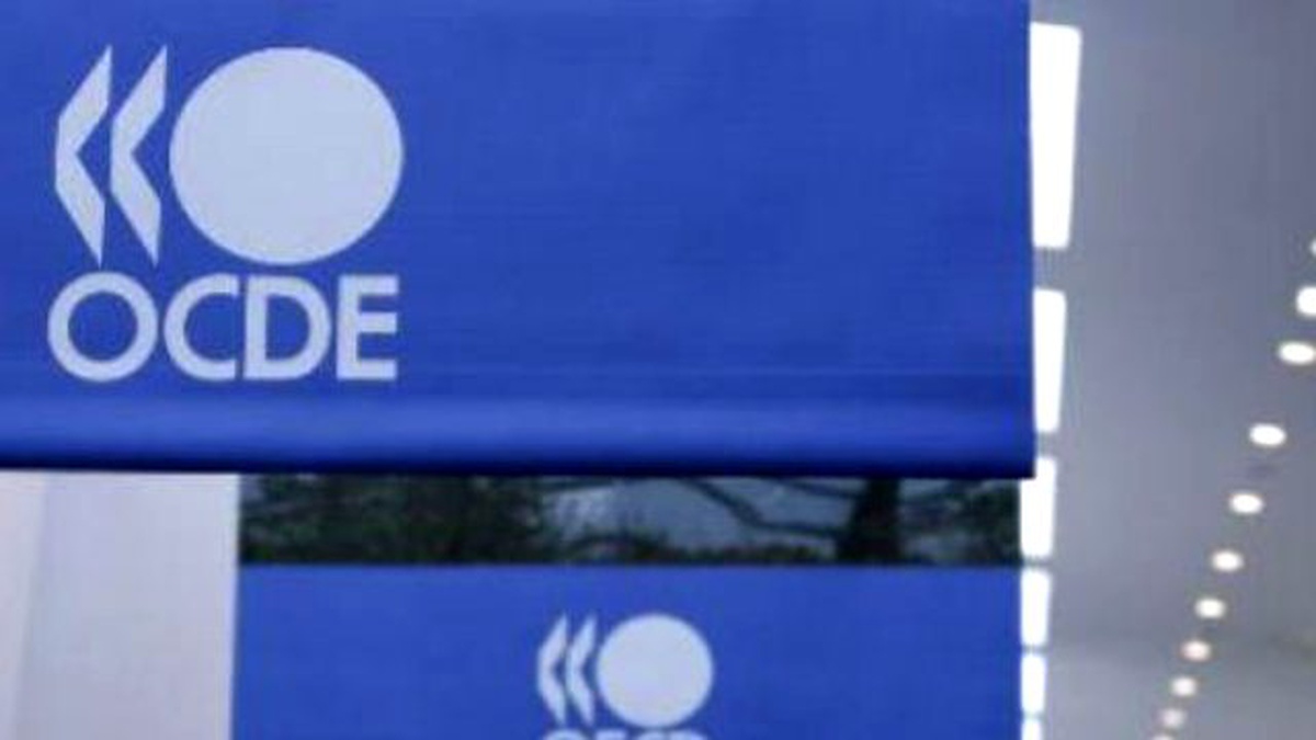 Oecd Dijital Ekonomi Raporu