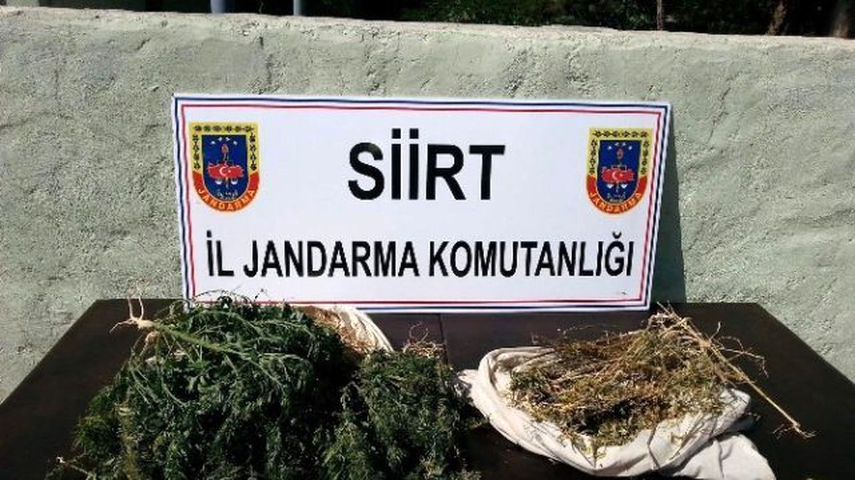 Siirt\'te Uyuşturucu Operasyonu