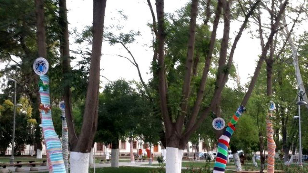 Vilayet Parkında Ağaçlar Bayramlıklarını Erken Giydi