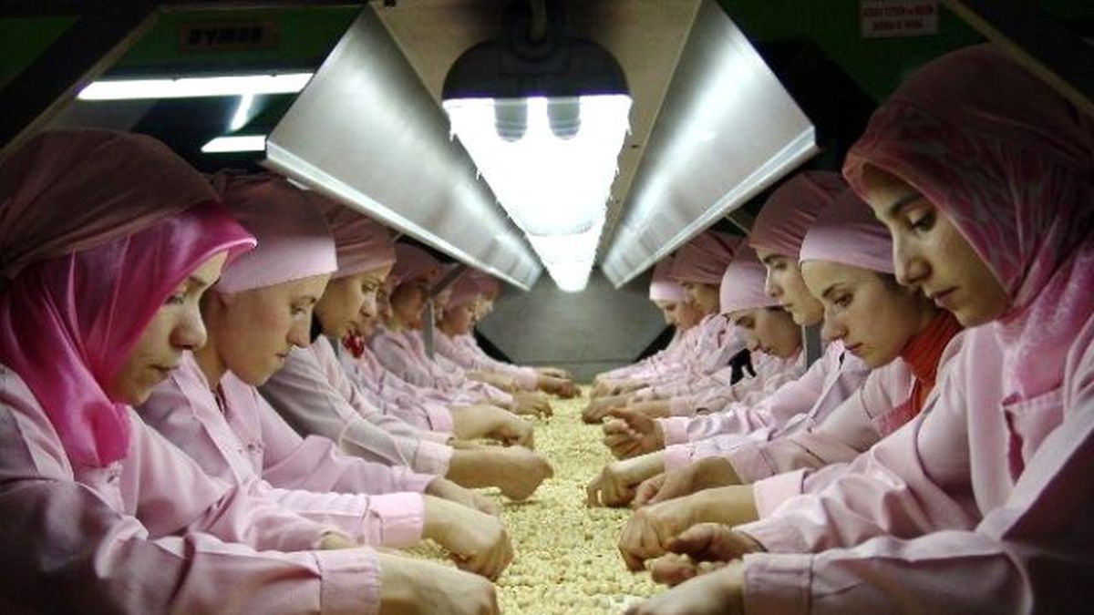 Bin 238 Ton İç Fındık İhraç Edildi
