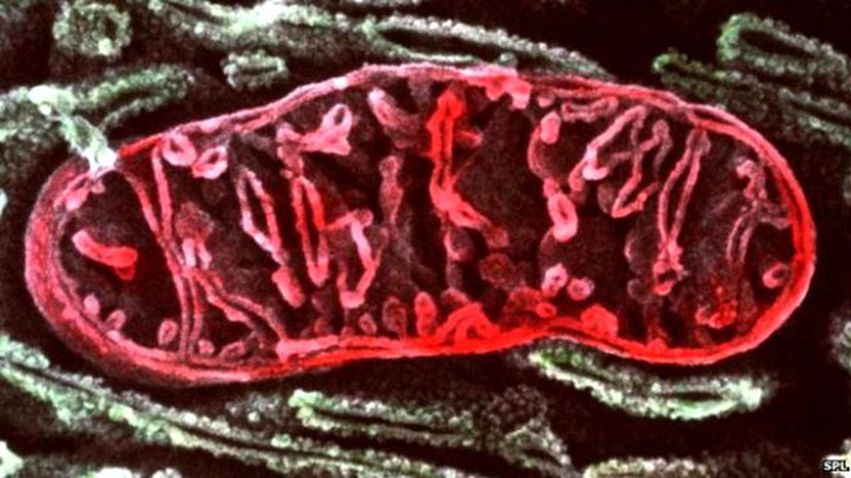 Doğuştan Genetik Hastalıklı Olanlara Yeni Bir Ümit