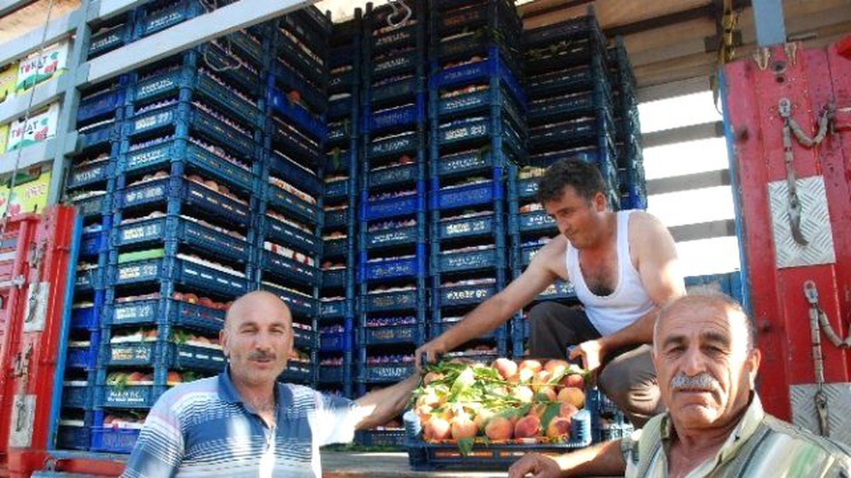 Kemalpaşa Köyünden Yurt İçine Şeftali Sevkıyatı