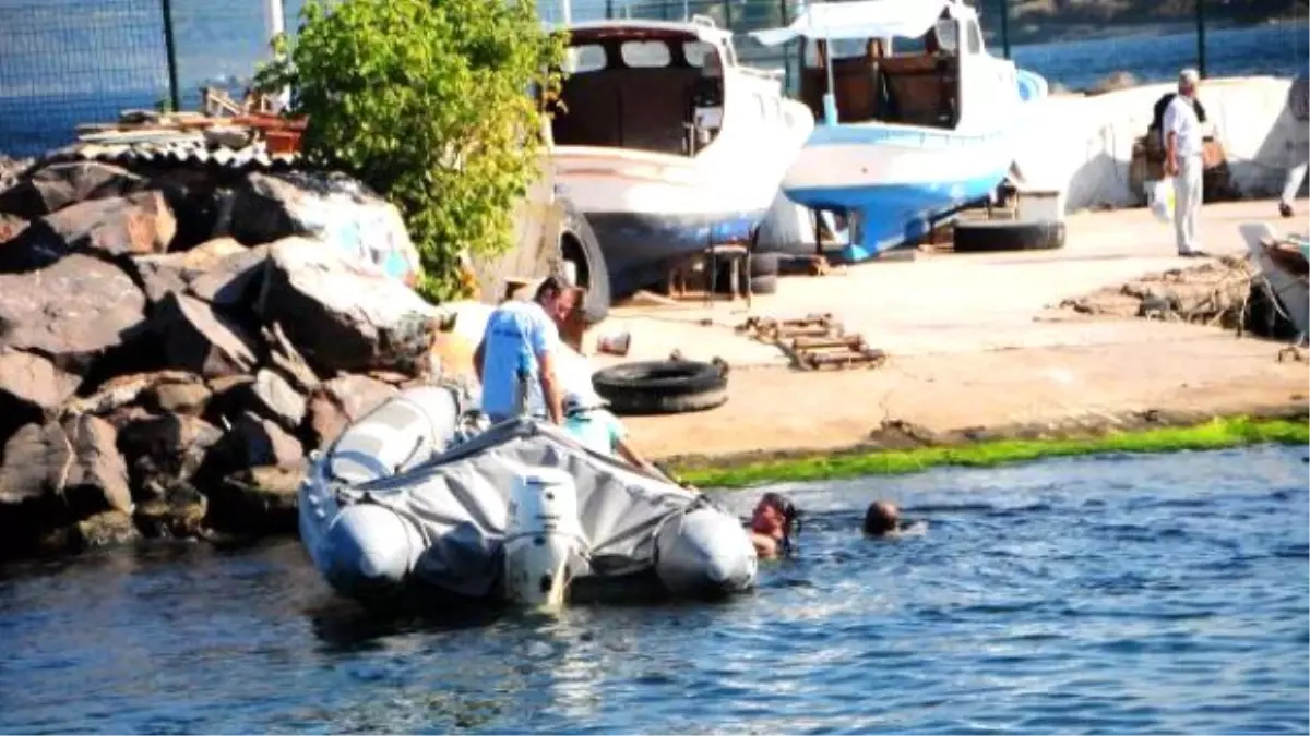 Yüzme Sevdası Canlarından Ediyordu