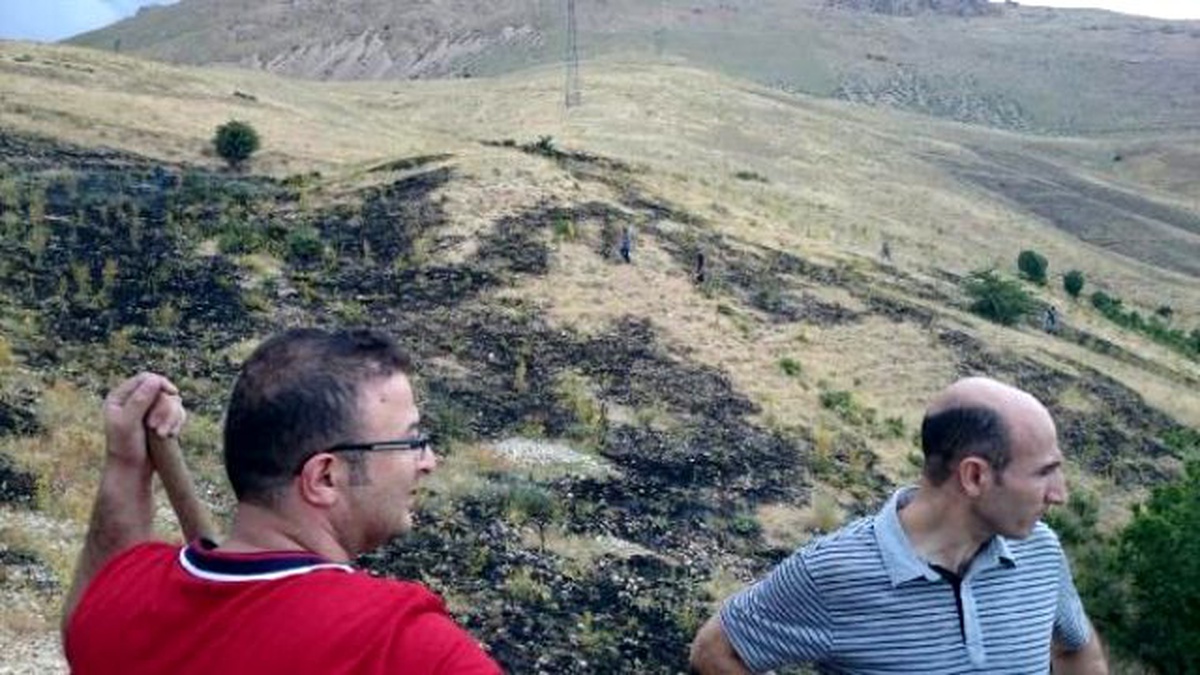 Adilcevaz\'da Buğday Tarlası ve Üzüm Bağı Yandı