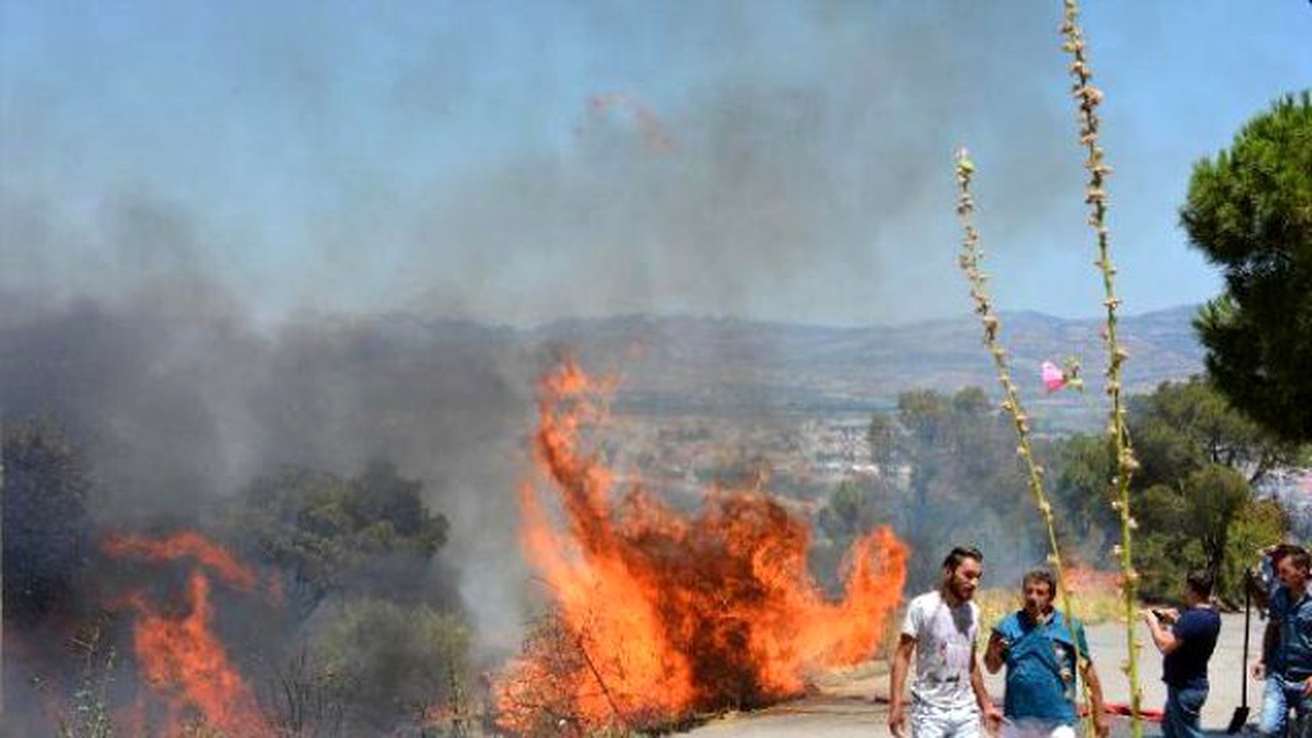 Dikili\'de Ağaçlık Alanda Korkutan Yangın