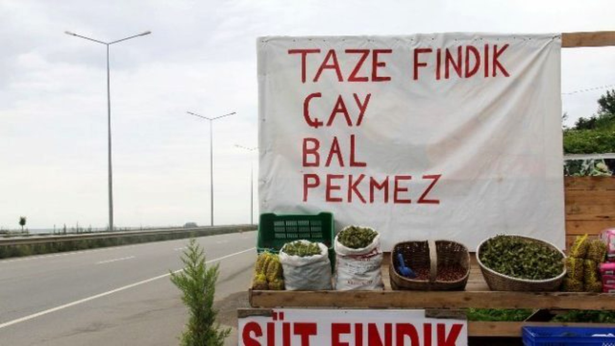 Giresun\'da Yeni Mahsul Fındık Pazara İndi