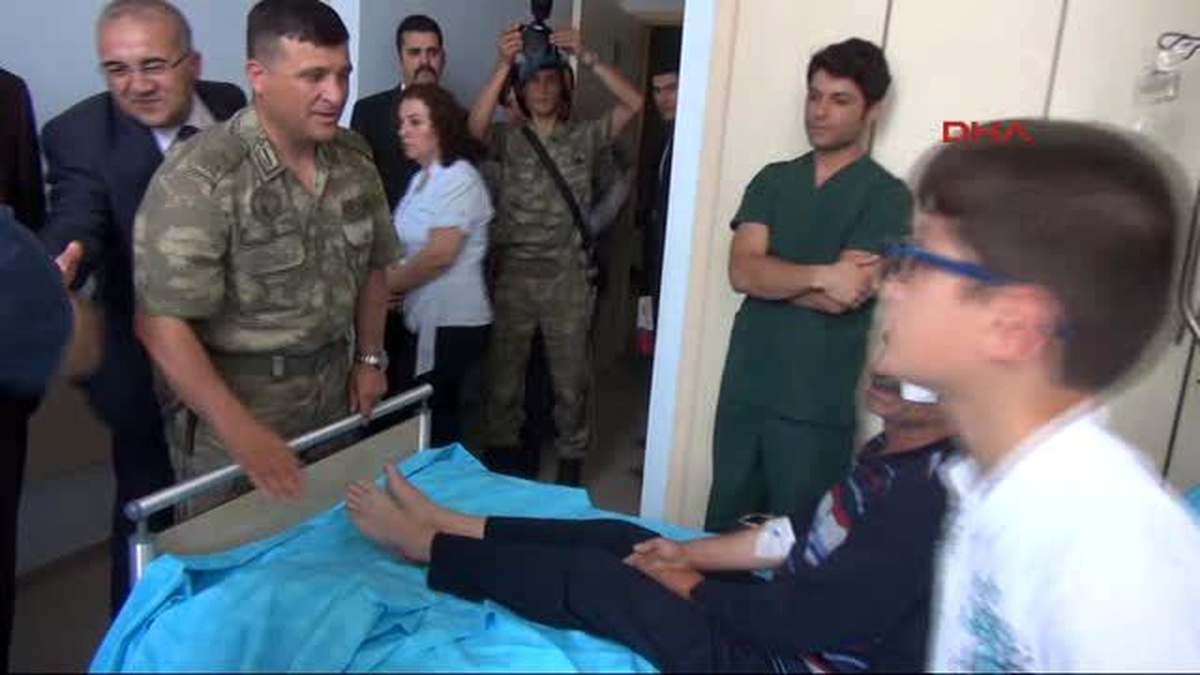 Hakkari\'de Arı Saldıran Vatandaş Hastanede Tedaviye Alındı