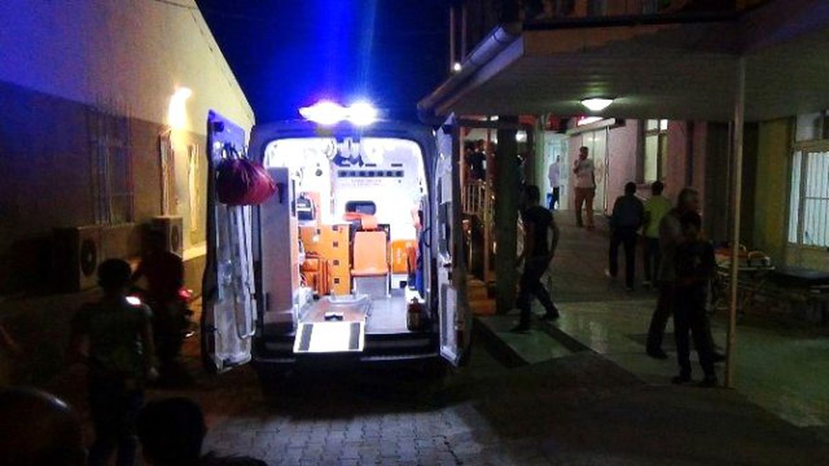 Köpekten Kaçarken Kanala Düştüler