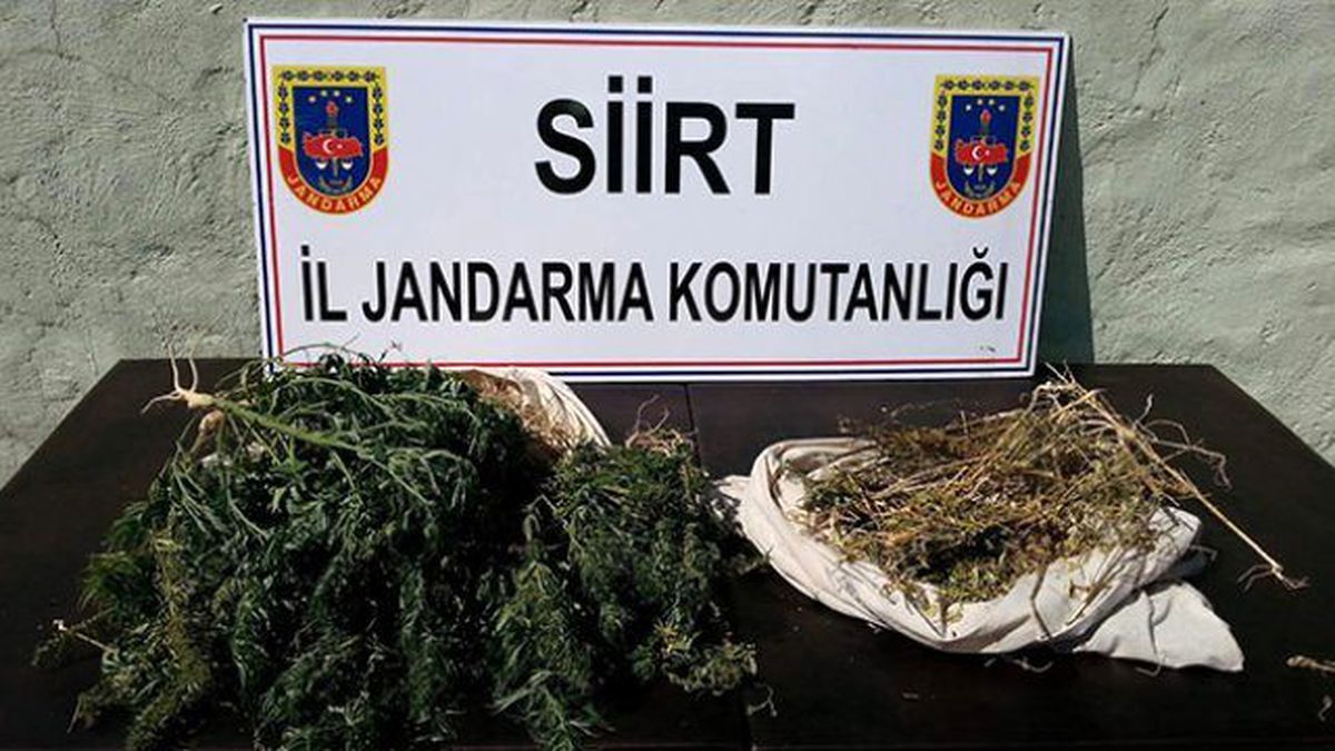 Siirt\'te Uyuşturucu Operasyonu