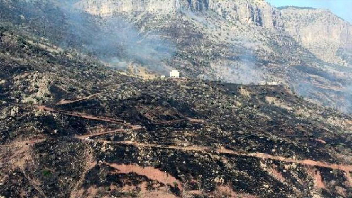 Cudi Dağı\'ndaki Yangın Devam Ediyor