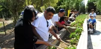 Engelsiz Hobi Bahçeleri'nde İlk Ürün Heyecanı