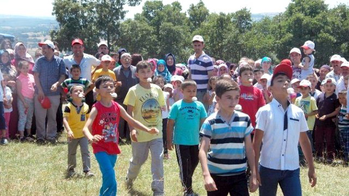 Havza\'da Festival Coşkusu
