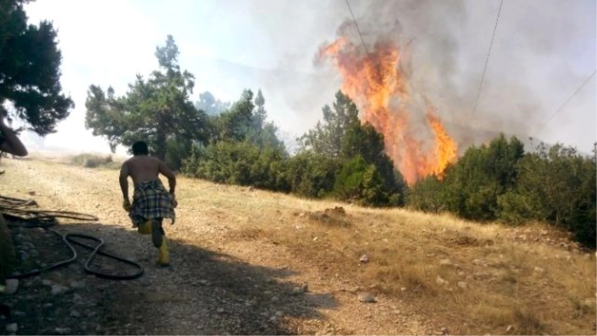 Isparta\'da Orman Yangını