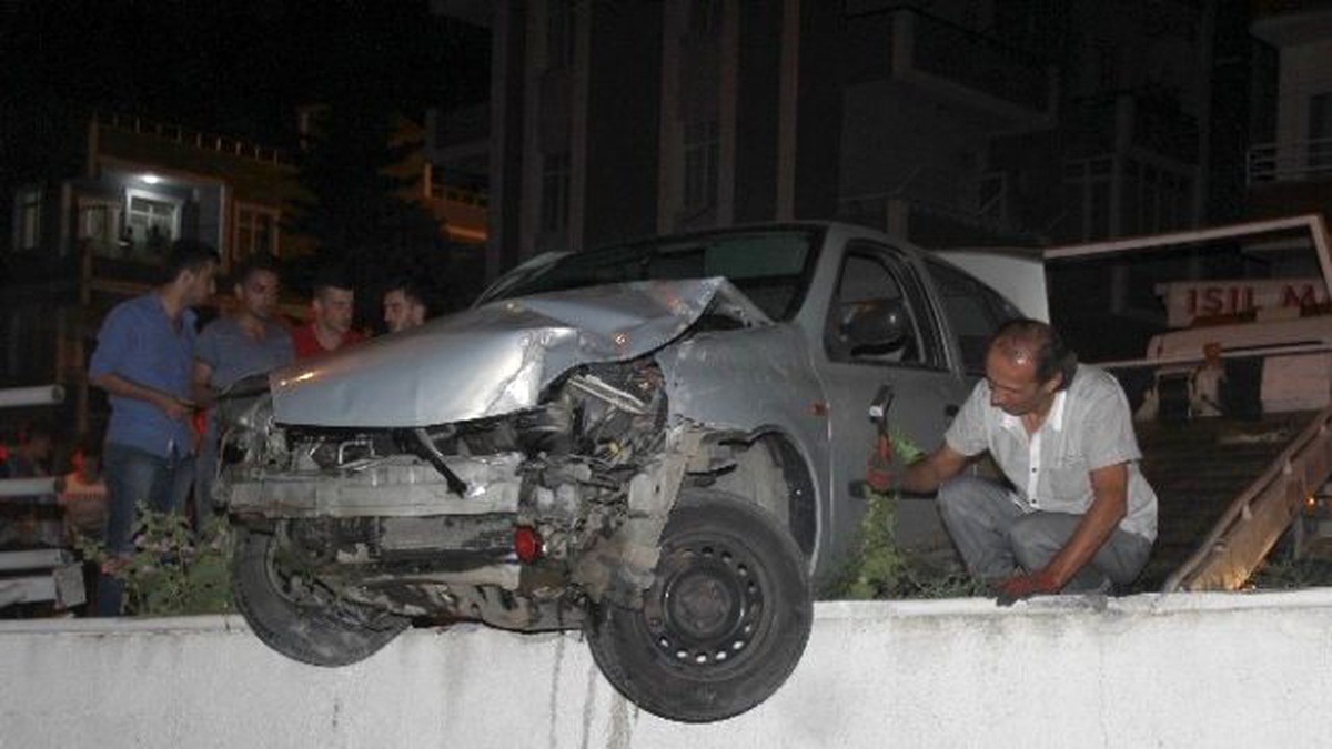 Kediye Çarpmamak İsterken Kaza Yaptı