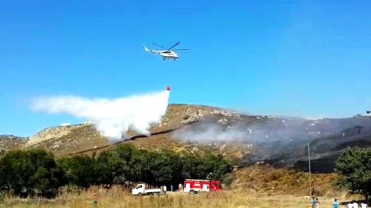 Avşa Adası\'nda Zeytinlik Yangını