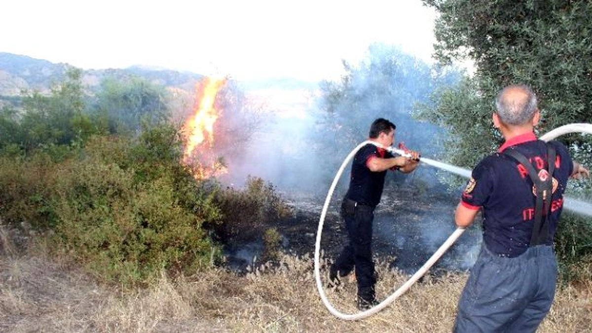 Aydın\'da İtfaiye Ekipleri Yangından Yangına Koştu
