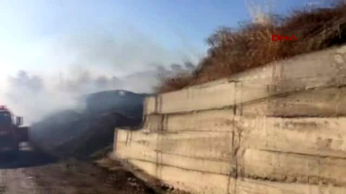 Balıkesir Avşa Adası\'nda Çöplükte Çıkan Yangın Zeytinliklere Sıçradı
