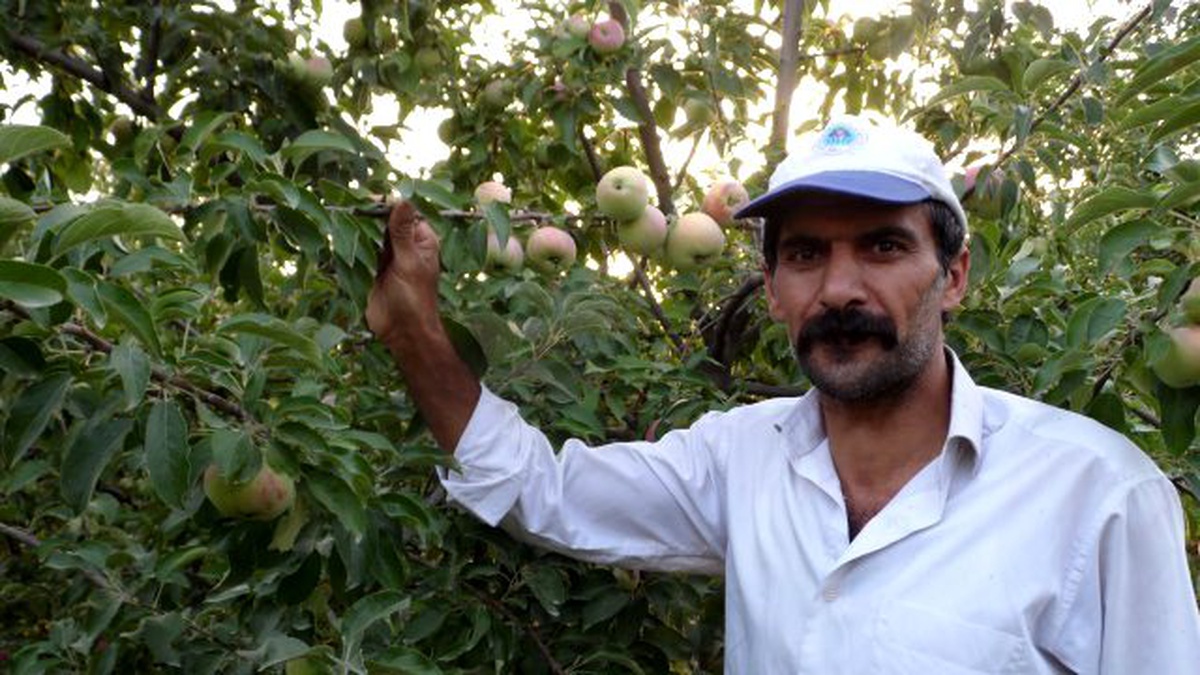 Batmanda Elma Üreticileri İflasın Eşiğine Geldi