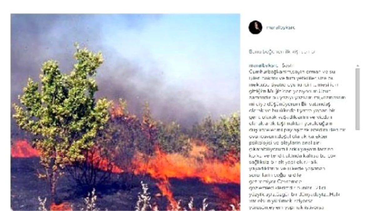 Maral Büyüksaraç\'tan \'Cudi Yangını\' Tepkisi: Bu Ekolojik Katliamdır
