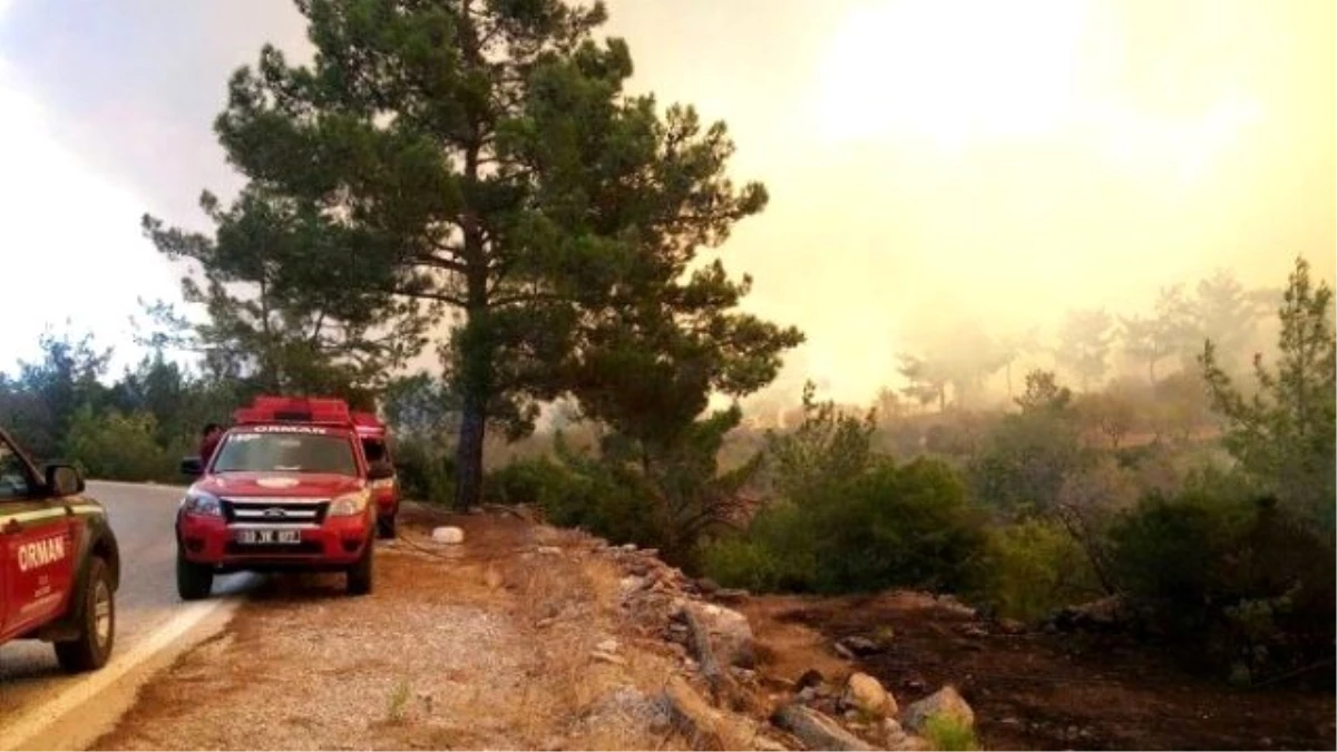 Mersin\'deki Orman Yangını Sürüyor