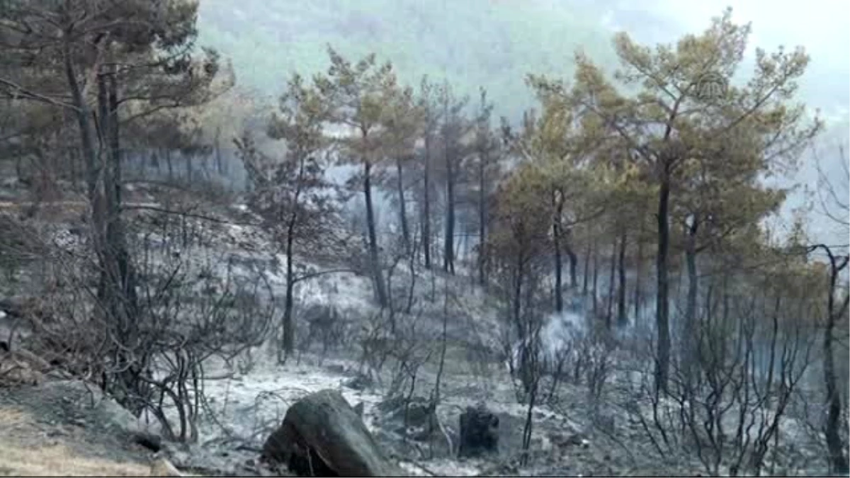 Mersin Orman Bölge Müdürü Baca: "Yaklaşık 100 Hektarlık Alan Zarar Gördü"